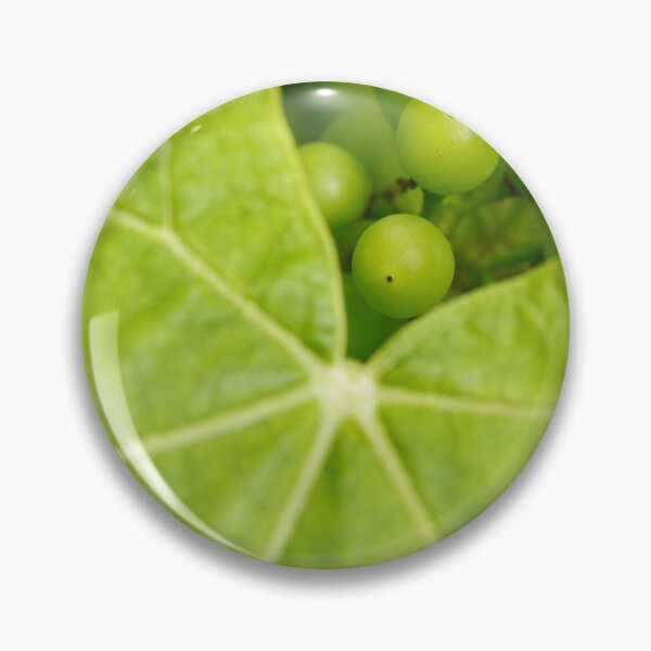 Item preview, Maturing wine grapes designed and sold by Gaspar Avila.