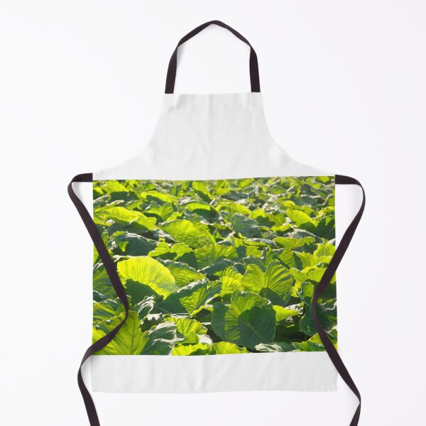 Item preview, Taro plantation designed and sold by Gaspar Avila.