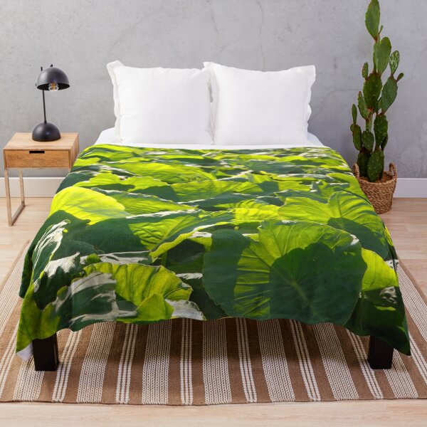 Item preview, Taro plantation designed and sold by Gaspar Avila.