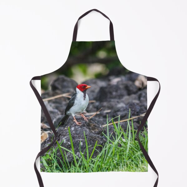 Item preview, Yellow-billed Cardinal for Bird Lovers designed and sold by cool-merch.