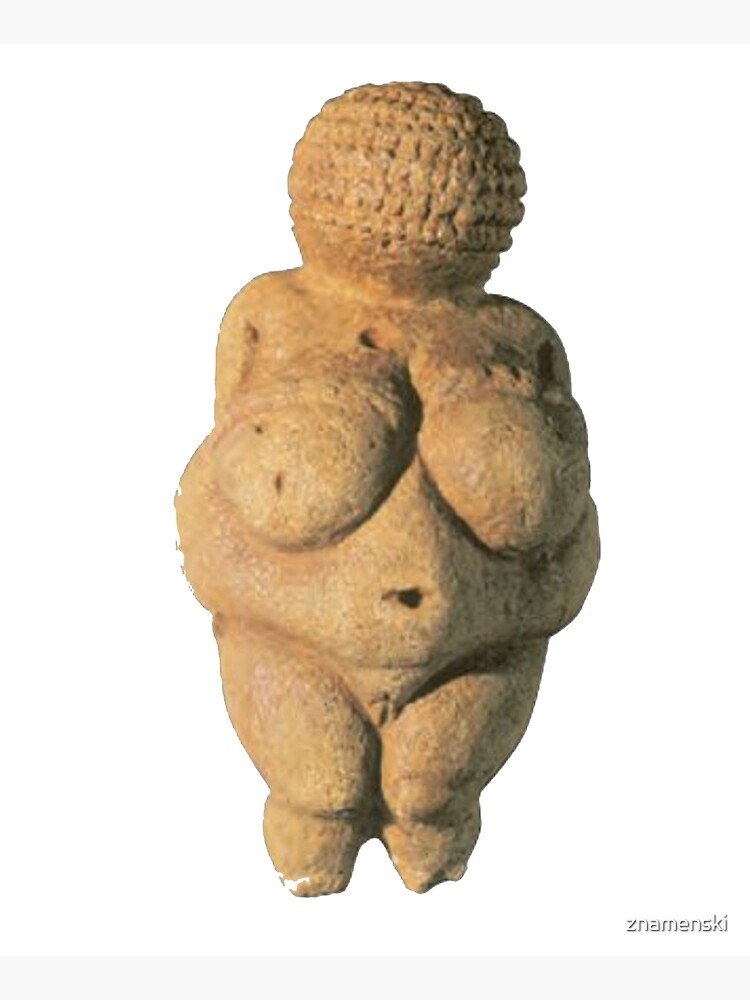 #Venus of #Willendorf #artifact sculpture art figurine statue humanbody #VenusofWillendorf by znamenski