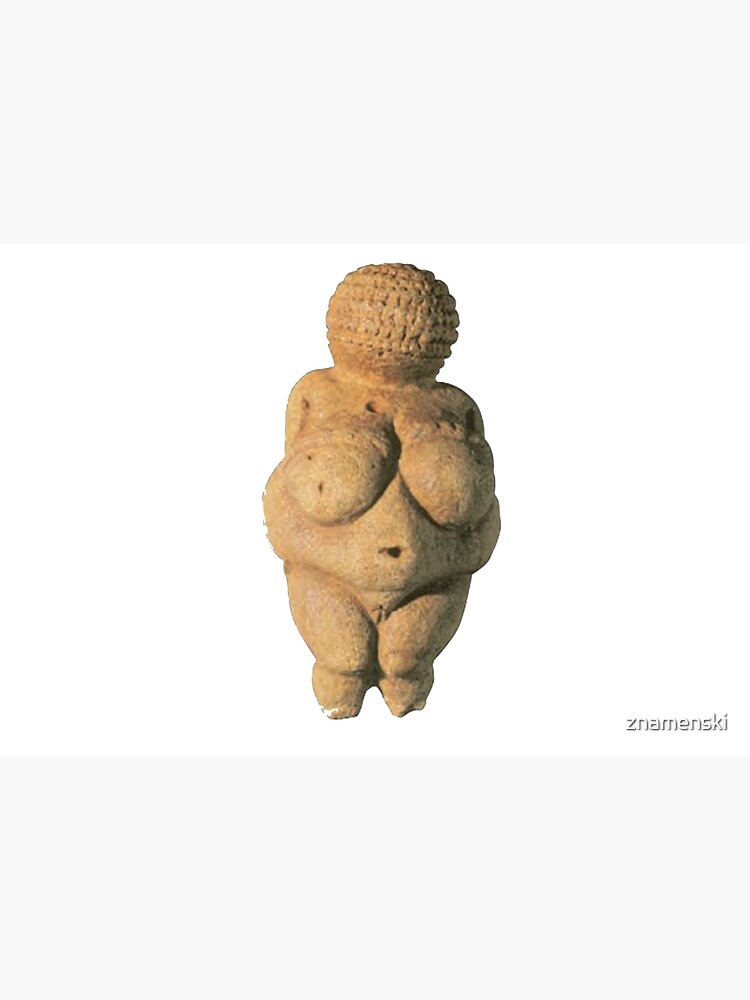 #Venus of #Willendorf #artifact sculpture art figurine statue humanbody #VenusofWillendorf by znamenski