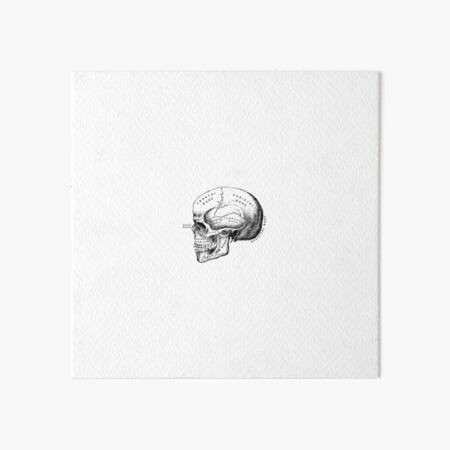 Vintage anatomical medical skull illustration Art Board Print