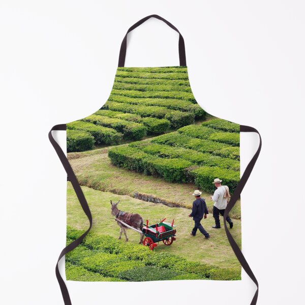 Item preview, Porto Formoso tea gardens designed and sold by Gaspar Avila.