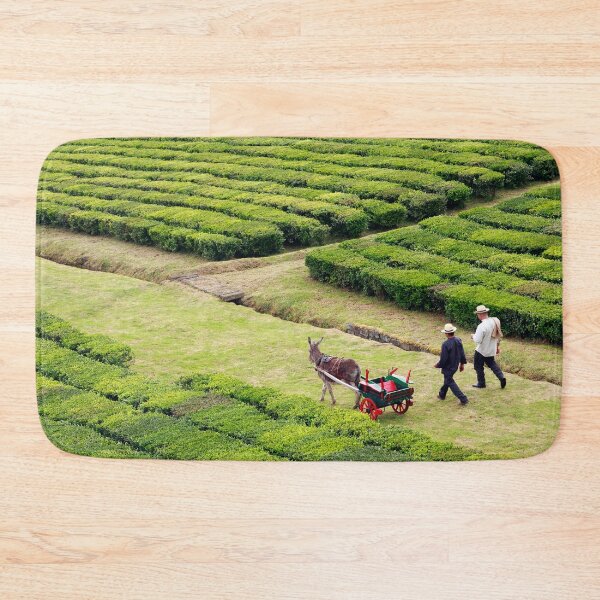 Item preview, Porto Formoso tea gardens designed and sold by Gaspar Avila.