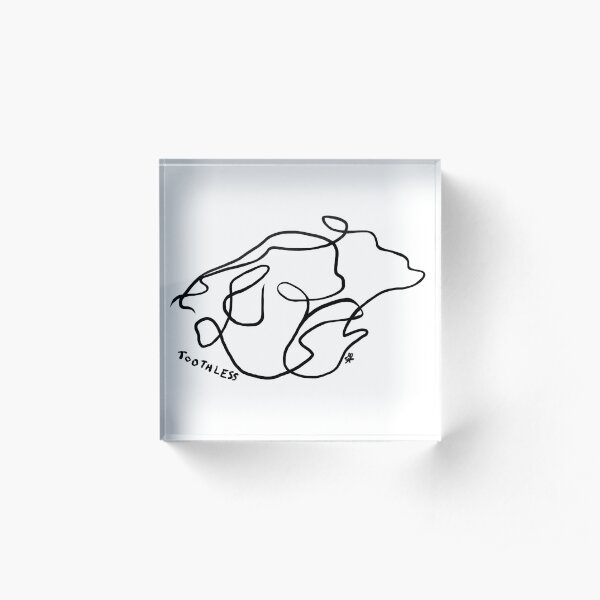 Hiccup by Toothless the dragon Acrylic Block