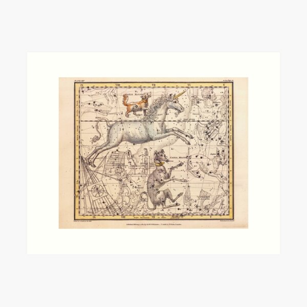 Item preview, Vintage map - Canis Major Canis Minor Monoceros Argo Navis - Alexander Jamieson 1820 designed and sold by DejaVuStudio.