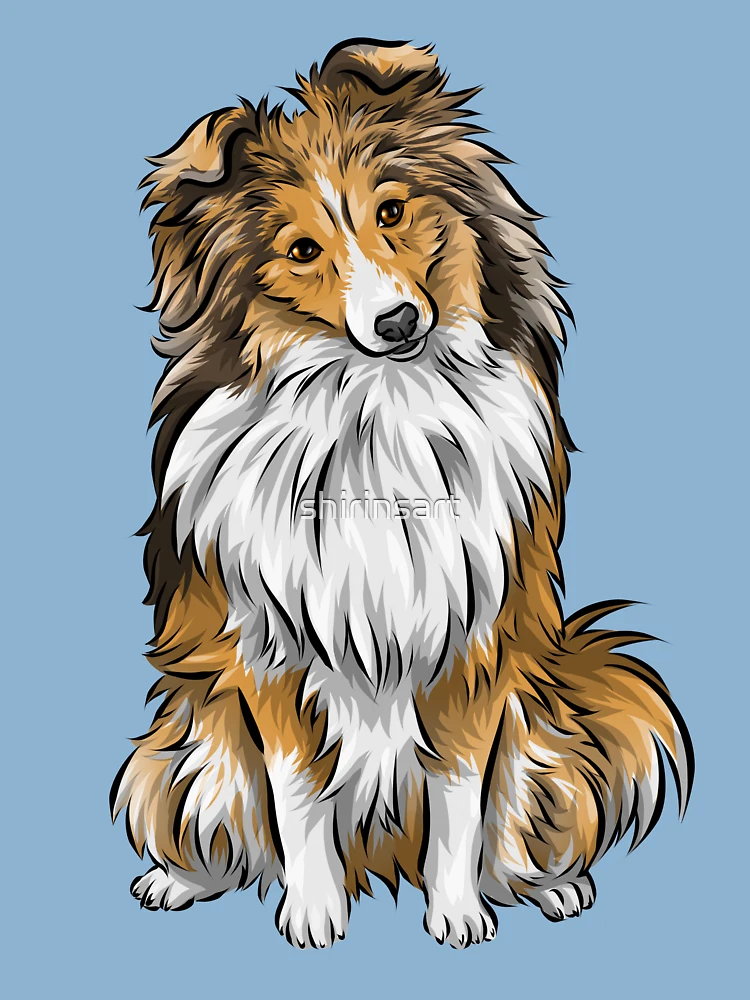 Agility Shelties Blue Merle and Sable Sheltie waterproof stickers - Amy  Bolin's Far Out! Art