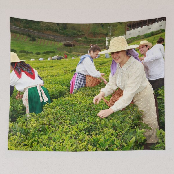 Item preview, Porto Formoso tea gardens designed and sold by Gaspar Avila.