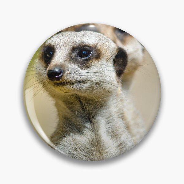 Item preview, African Wildlife - Meerkats - Photographic Print designed and sold by nickegglington.