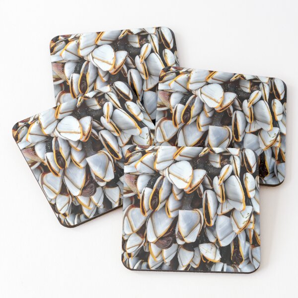 Item preview, Goose barnacles designed and sold by Pebbles on the Beach.