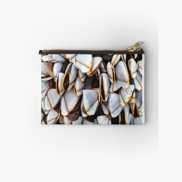 Item preview, Goose barnacles designed and sold by Pebbles on the Beach.