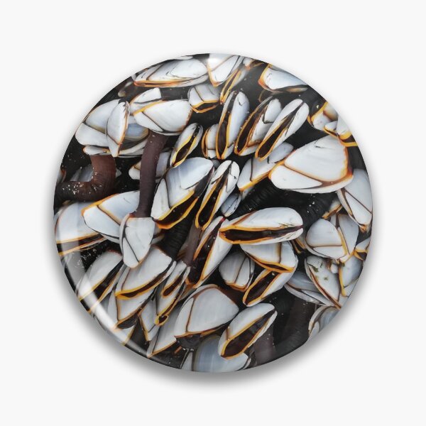 Item preview, Goose barnacles 2 designed and sold by Pebbles on the Beach.