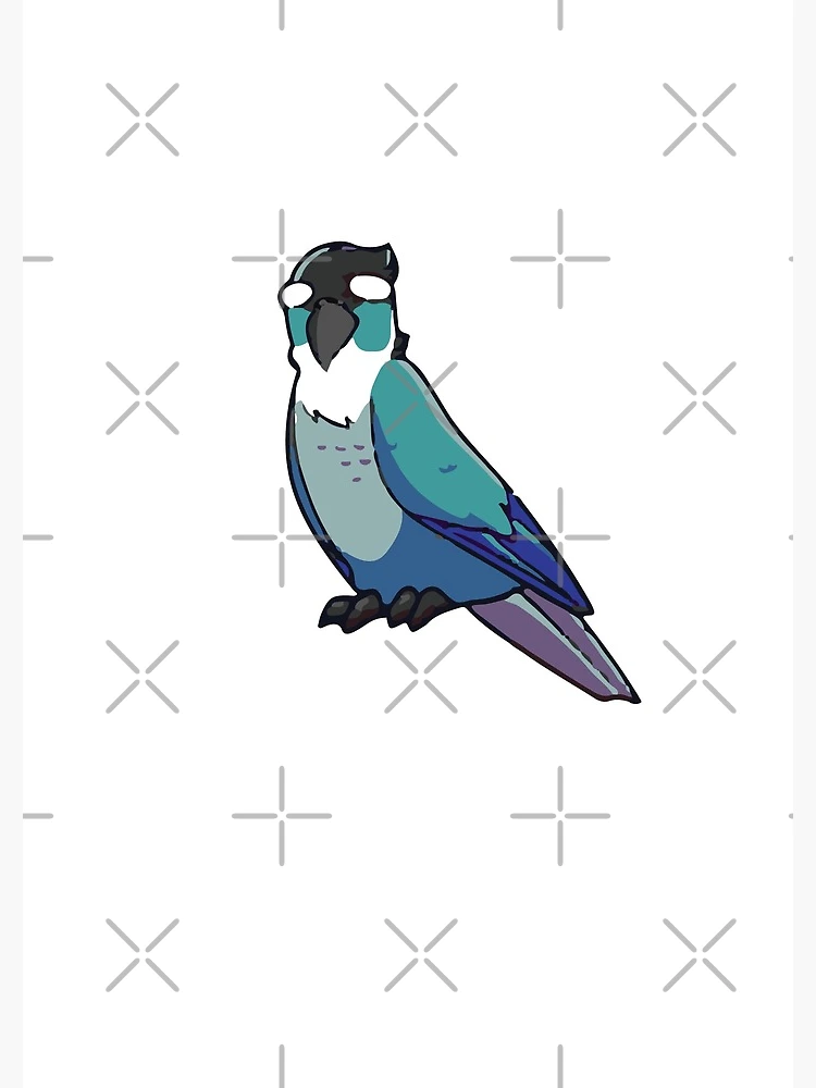 Bird RP - Ari (Jaiden's Bird, gonna be rping as her) - Wattpad