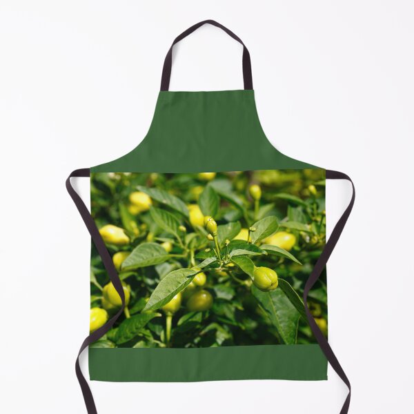 Item preview, Peppers designed and sold by Gaspar Avila.