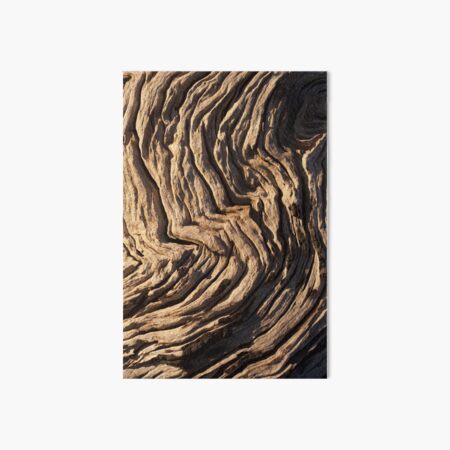 Eucalyptus Tree Bark Art Board Print