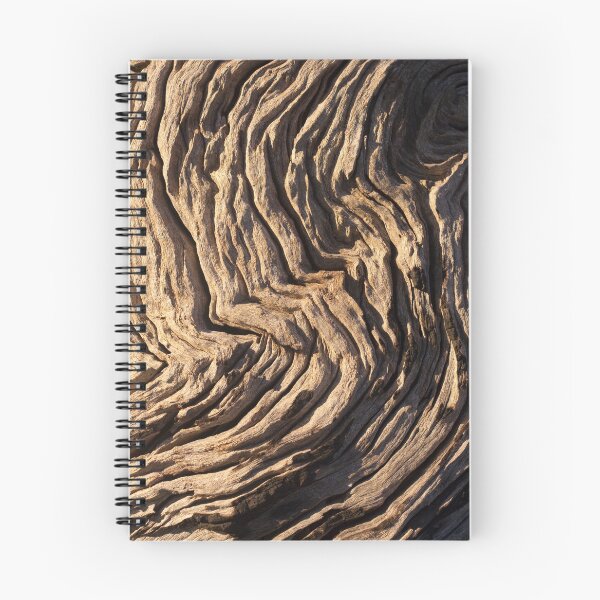 Item preview, Eucalyptus Tree Bark designed and sold by LP-Images.