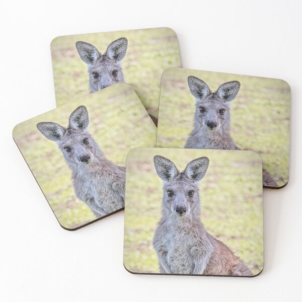 Item preview, Kangaroo designed and sold by Catherine Reading.