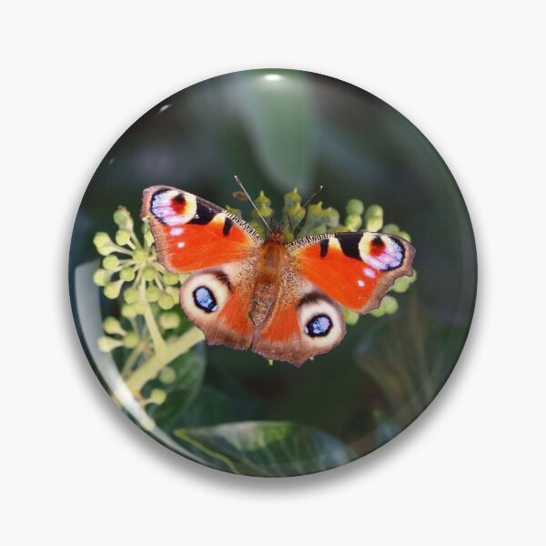 Item preview, Peacock butterfly on blooming ivy designed and sold by NW-Photo-Art.