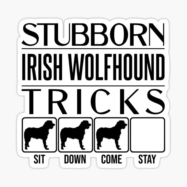 "Irish Wolfhound Stubborn Irish Wolfhound Tricks / Stubborn Dog