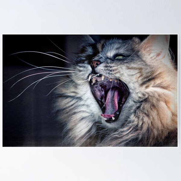 Item preview, the roar of the cat designed and sold by Pino 'Delfino' Esposito.