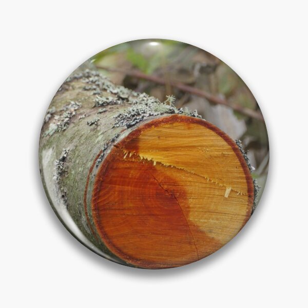 Item preview, Cut alder tree with annual ring designed and sold by mrivserg.
