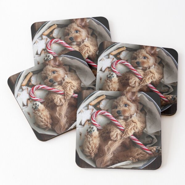 Item preview, Cavoodle cookie bowl  designed and sold by toppopin.