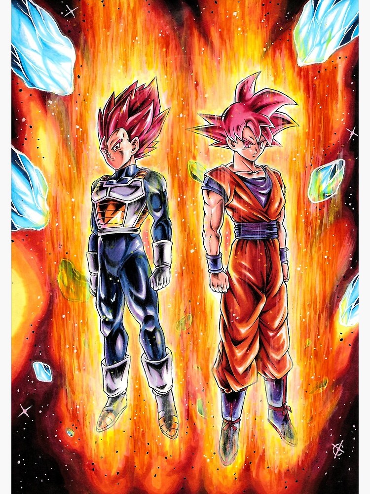 Goku and vegeta ssj god Photographic Print by Abyllion-art