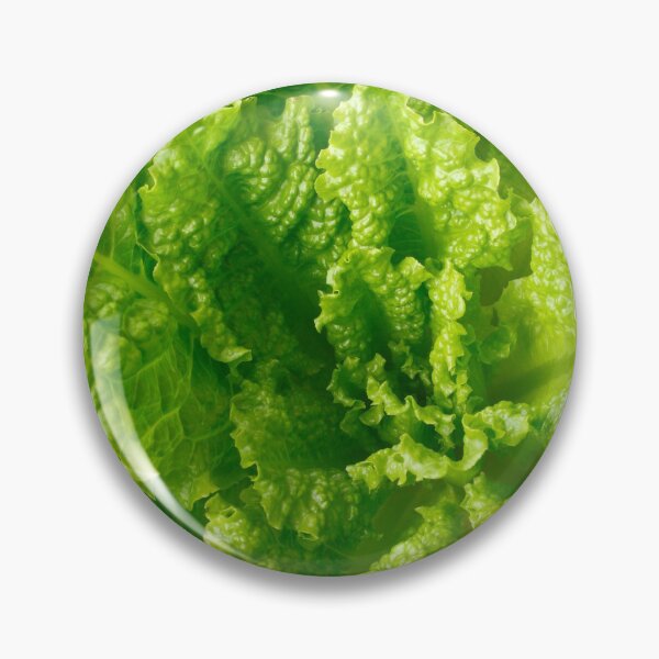 Item preview, Lettuce closeup designed and sold by Gaspar Avila.