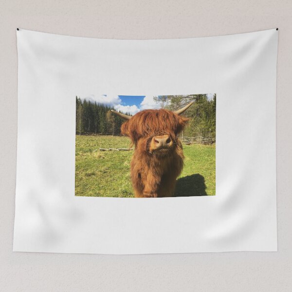 Item preview, Scottish Highland Cattle Calf 1999 designed and sold by SaarelaHighland.