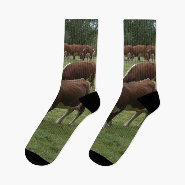 Item preview, Cows designed and sold by KWAPhoto.