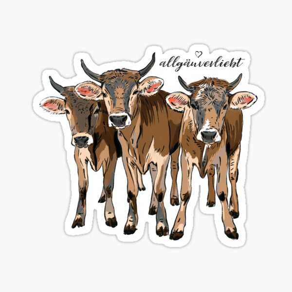 allgäuverliebt – drei junge Kühe mit Löwenzahn Sticker