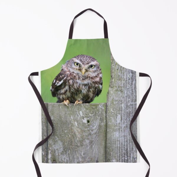 Item preview, Little Owl! (portrait) designed and sold by jmwilesphotos.