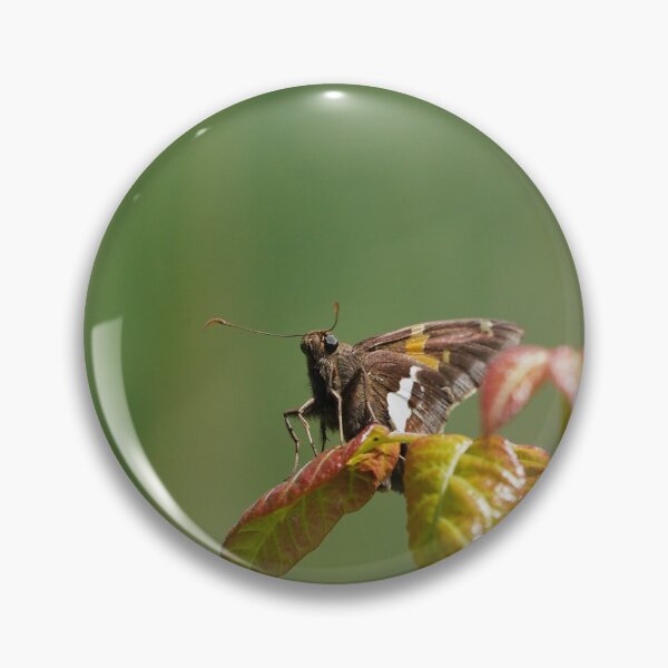 Item preview, Silver Spotter Skipper - a tiny beauty designed and sold by acwb.