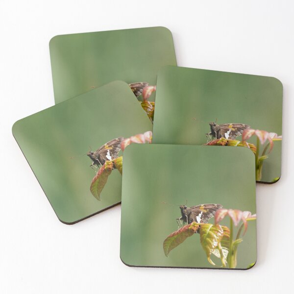 Item preview, Silver Spotter Skipper - a tiny beauty designed and sold by acwb.