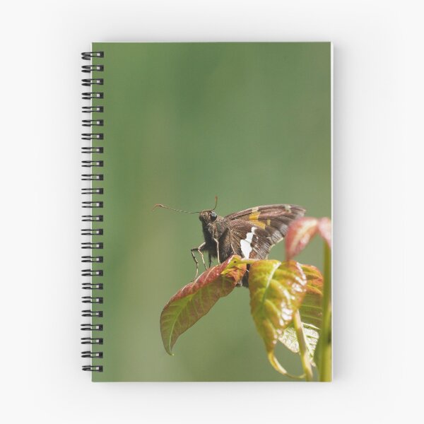 Item preview, Silver Spotter Skipper - a tiny beauty designed and sold by acwb.