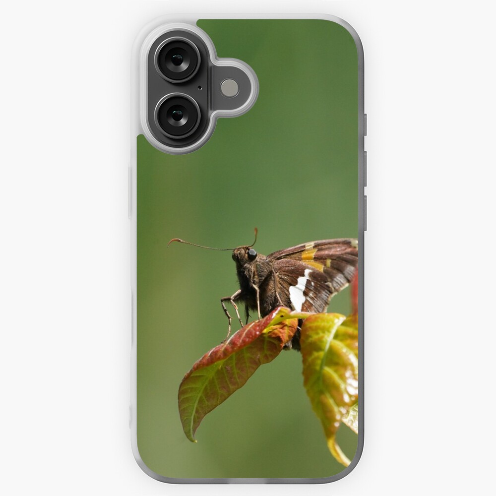 Item preview, iPhone Soft Case designed and sold by acwb.