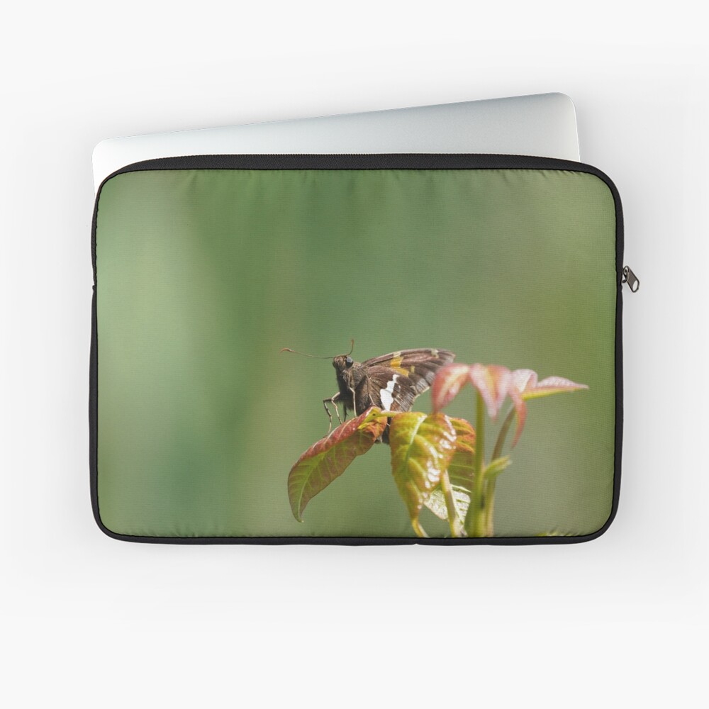 Item preview, Laptop Sleeve designed and sold by acwb.