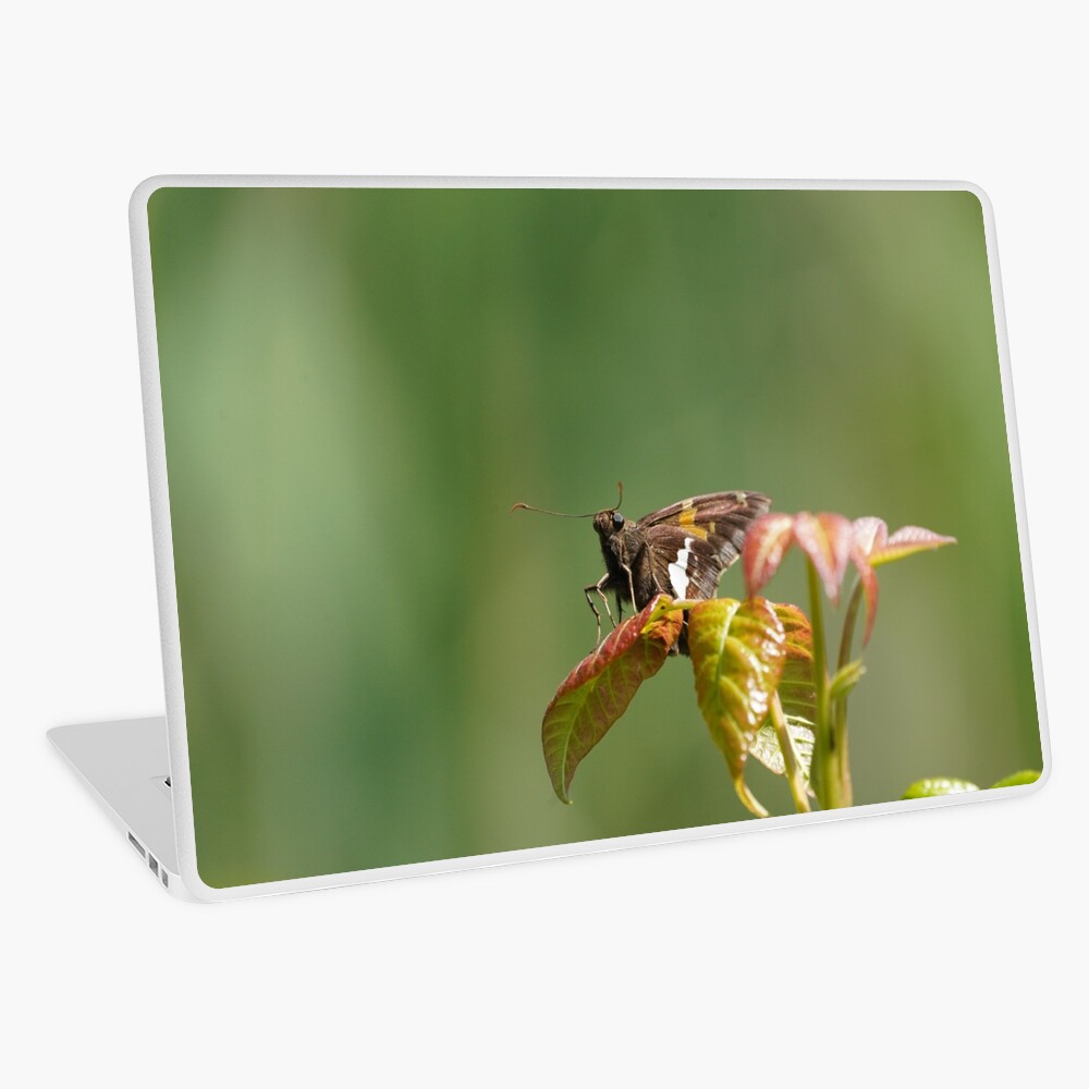 Item preview, Laptop Skin designed and sold by acwb.
