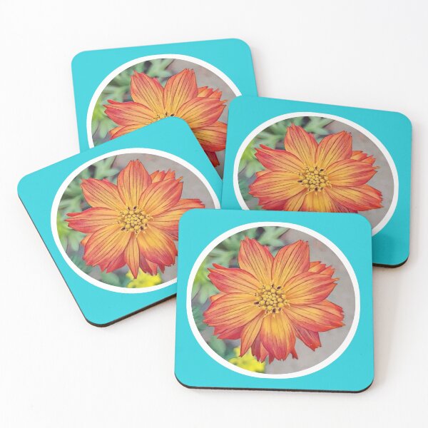 Item preview, SULPHUR COSMOS ORANGE Flower designed and sold by kimcrunner.