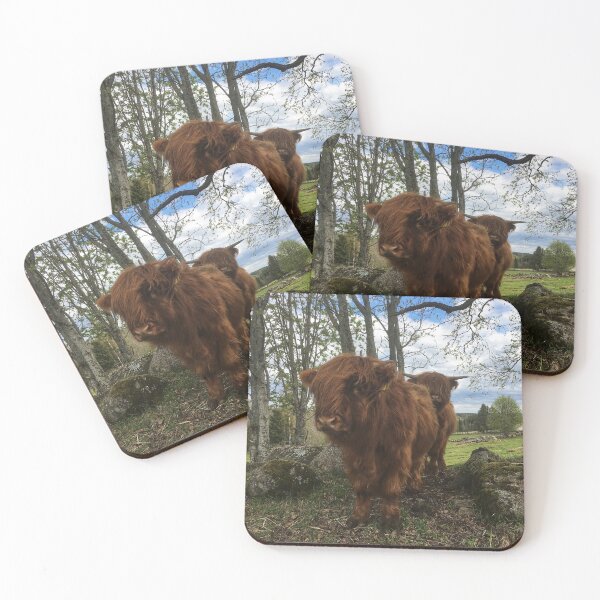 Artikelvorschau, Scottish Highland Cattle Calf 2007 entworfen und verkauft von SaarelaHighland.