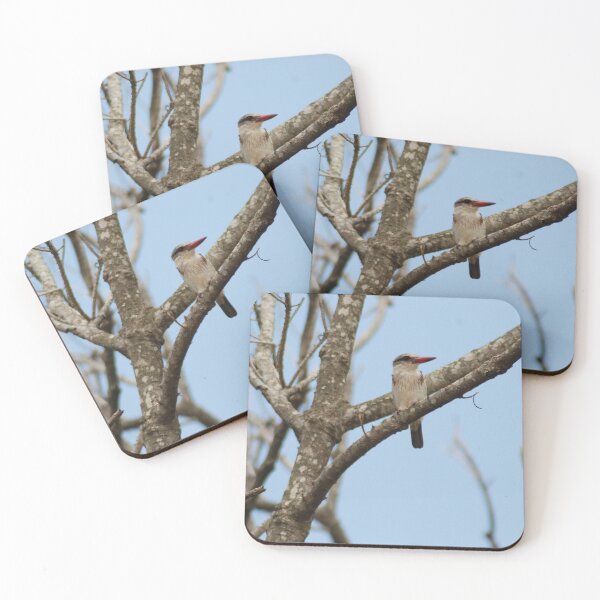 Item preview, Coastal Kingfisher  designed and sold by justbmac.