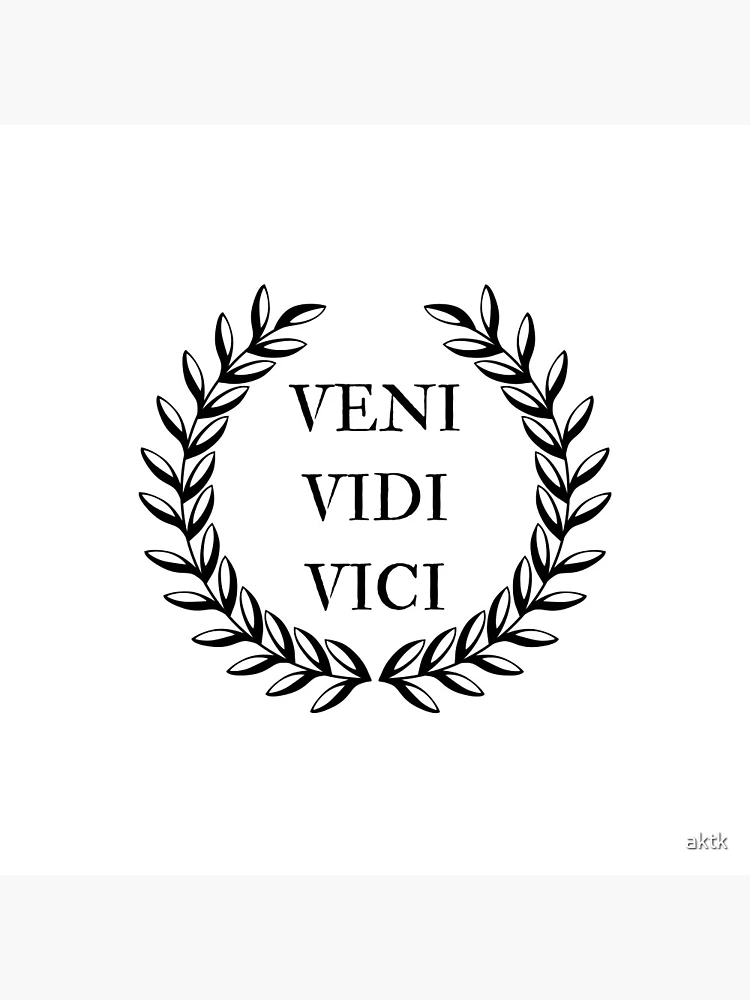 Veni Vidi Vici Quote -  Sweden