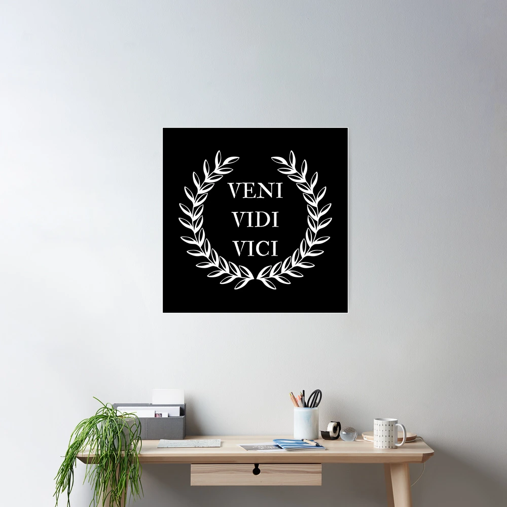 Veni Vidi Vici Temporary Fake Tattoo Sticker set of 2 