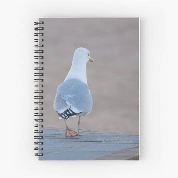 Item preview, Herring Gull designed and sold by Robert Carr.