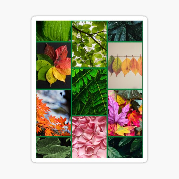 Leaves it to me! Sticker