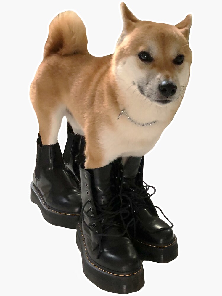 Shiba inu hot sale boots