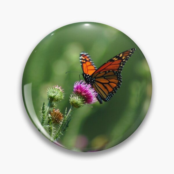 Item preview, Beautiful Butterfly designed and sold by Crystal Wightman.