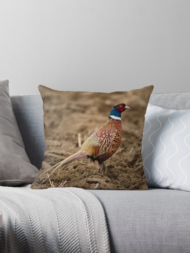 pheasant Pillow for Sale by FurioInc Redbubble