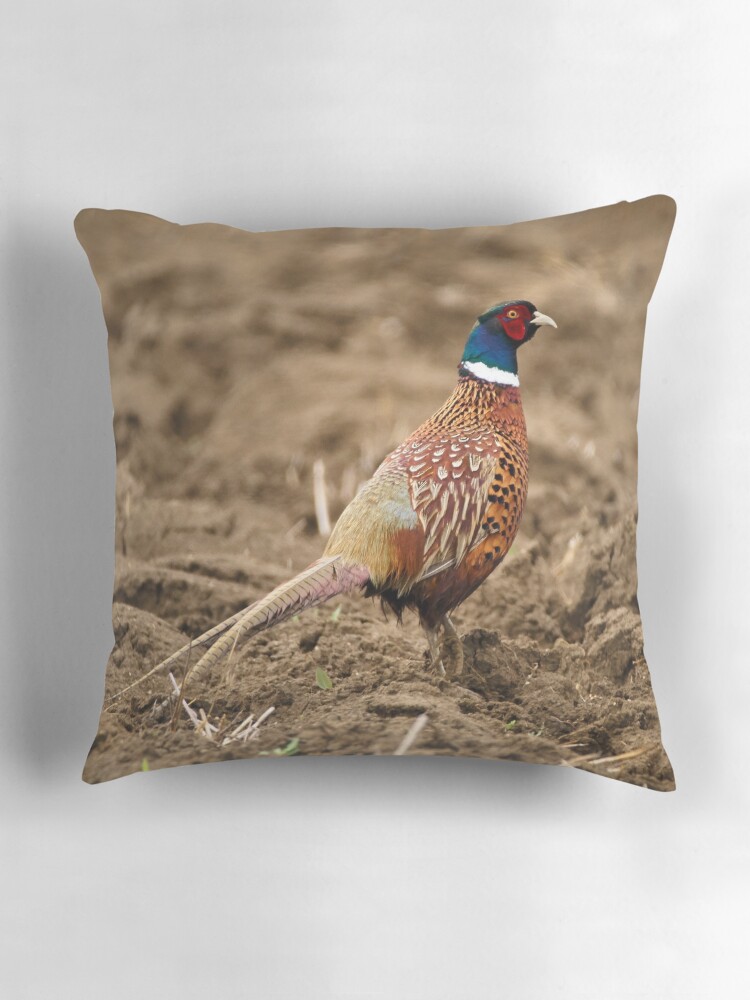 pheasant Pillow for Sale by FurioInc Redbubble